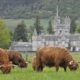 Balmoral Castle tickets: Tours sell out in 24 hours