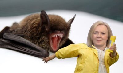 Liz Truss’s certifiable bat skit