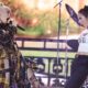 INDIO, CALIFORNIA - APRIL 13: (L-R) Gwen Stefani of No Doubt and Olivia Rodrigo perform at the Coachella Stage during the 2024 Coachella Valley Music and Arts Festival at Empire Polo Club on April 13, 2024 in Indio, California. (Photo by John Shearer/Getty Images for No Doubt)