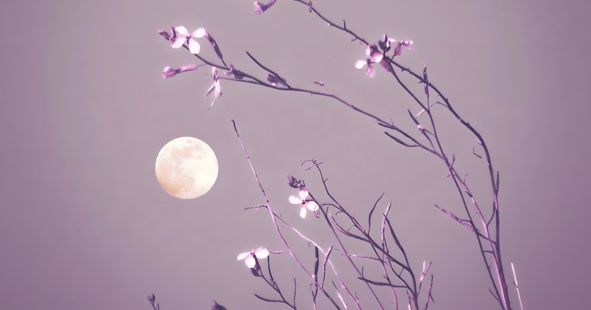 What April 2024's Full Moon In Scorpio Means For Your Sign