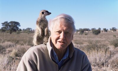 Sir David Attenborough with Meerkat