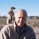 Sir David Attenborough with Meerkat