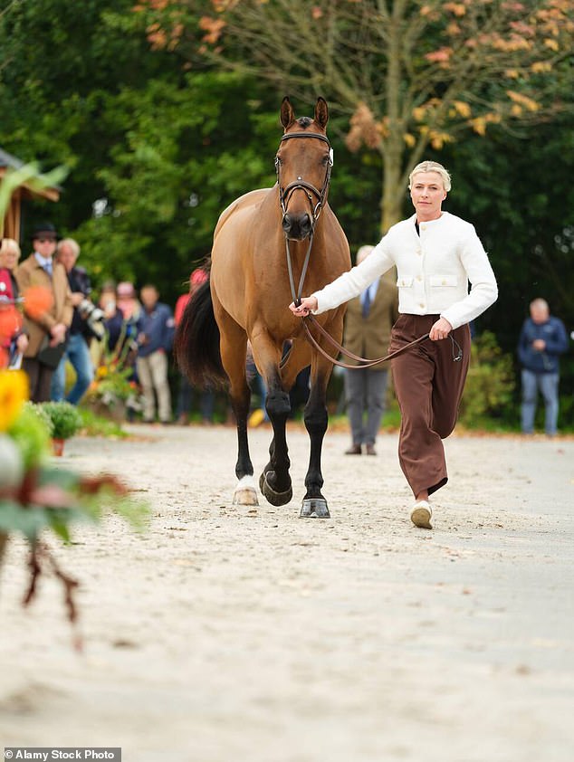 Georgie Campbell with Global Quest during the first horse inspection at the Boekelo Horse Trials CCIO 4*-NC-L on October 4, 2023