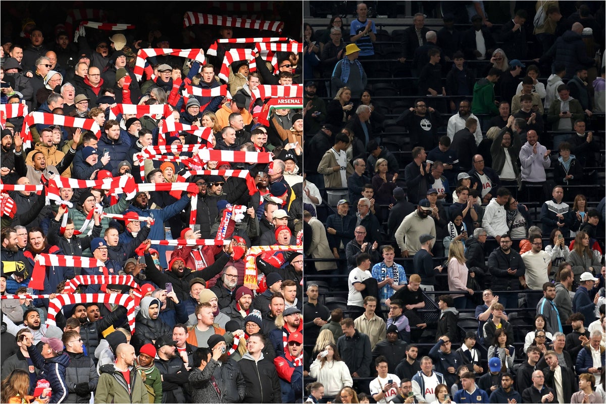 Arsenal fan view: My two hours supporting Spurs went exactly as I expected... and some people do this every week!