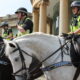 Policing teams mobilise during successful week of action in Bridgwater and West Somerset