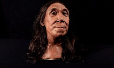 Revealed: Face of Neanderthal woman buried in Iraq’s ‘flower funeral’ cave 75,000 years ago