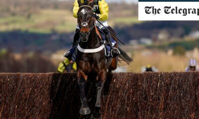 Two-time Cheltenham Festival winner Shishkin dies after freak stable accident