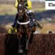 Two-time Cheltenham Festival winner Shishkin dies after freak stable accident