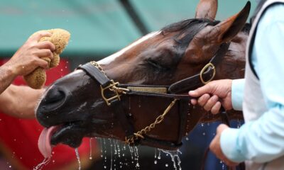 What time Preakness 2024 starts and horses to watch – NBC New York