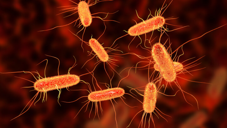 Food-linked E.Coli cases on the rise in UK