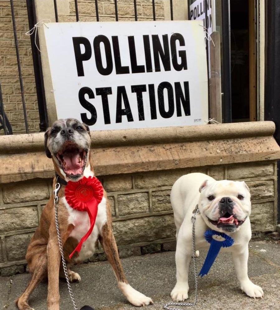 Brighton and Hove elections 2019 – we’ve got it covered