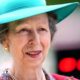 Princess Anne in hospital with minor head injury after suspected horse incident