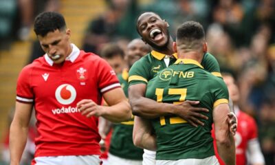 Wales player ratings vs South Africa