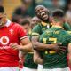 Wales player ratings vs South Africa