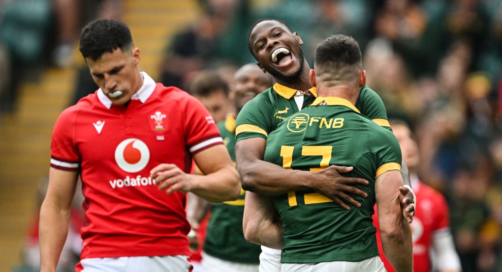 Wales player ratings vs South Africa