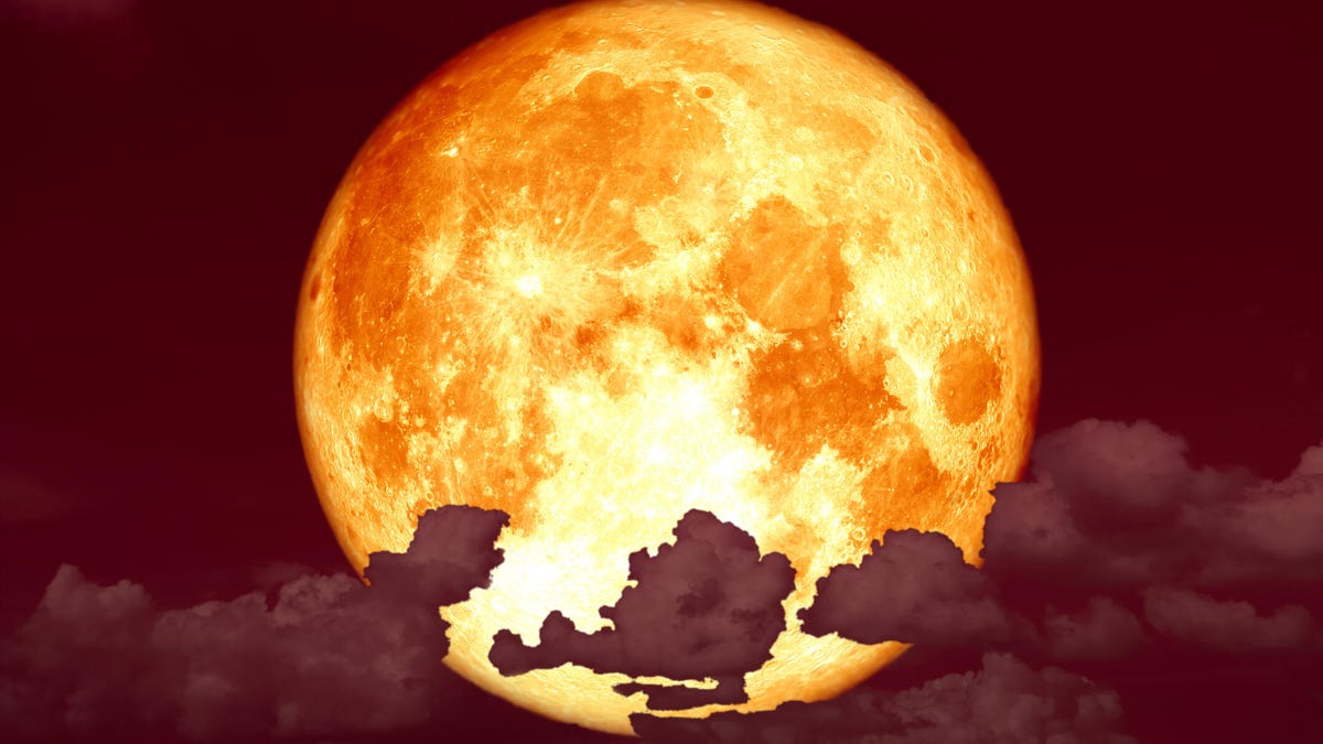 A golden moon, called a strawberry moon, is shown in a cloudy night sky.