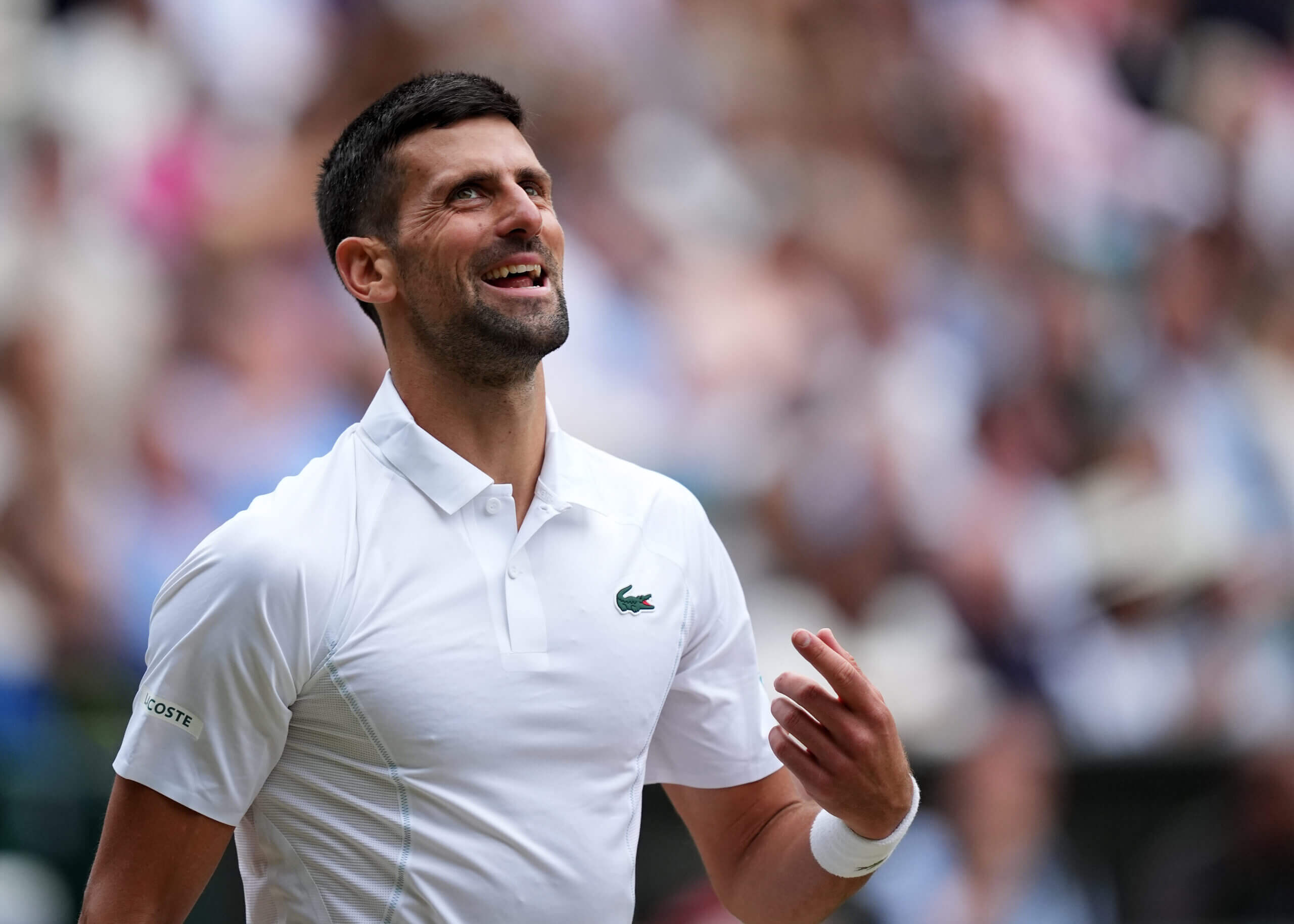 Novak Djokovic beats Lorenzo Musetti for Wimbledon final against Carlos Alcaraz