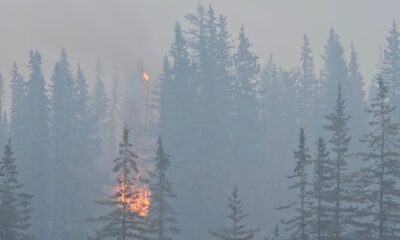 Rains help firefighters battle blazes in Canada’s Jasper National Park | Climate News