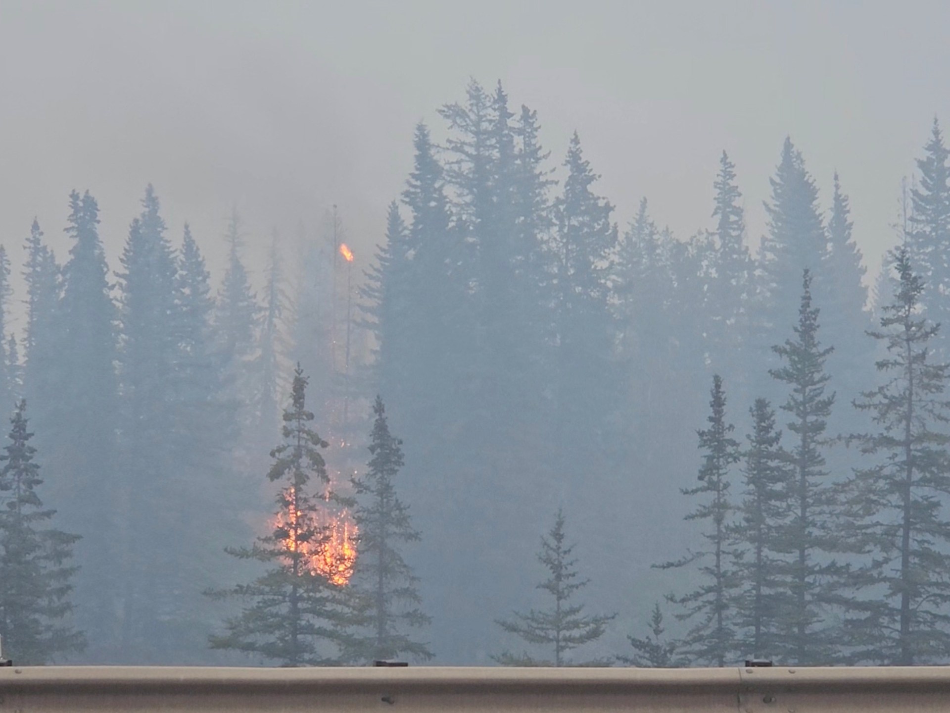 Rains help firefighters battle blazes in Canada’s Jasper National Park | Climate News