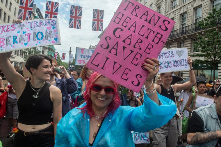 trans pride pic, protester holds placard reading trans healthcare saves lives, illustrating an article about the puberty blocker ban