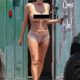 The Australian architect, 29, shocked onlookers as she fully exposed her breasts in a completely see-through netted top on her way to the Melrose Tanning Company salon yesterday