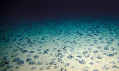 Scientists find ‘dark oxygen’ produced without light in deep ocean