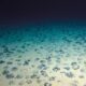 Scientists find ‘dark oxygen’ produced without light in deep ocean