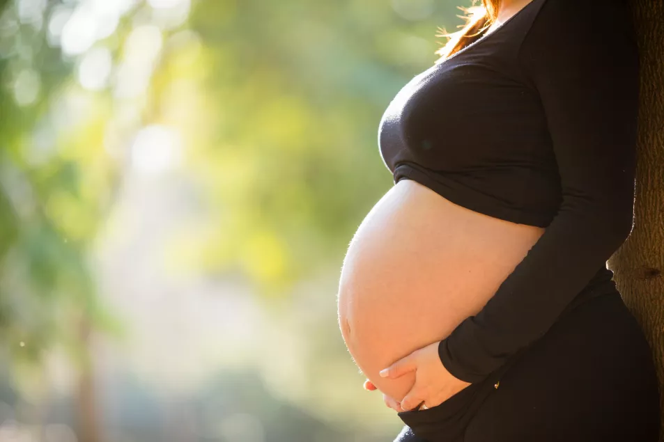 Close-up of a pregnant woman standing in the park at sunset