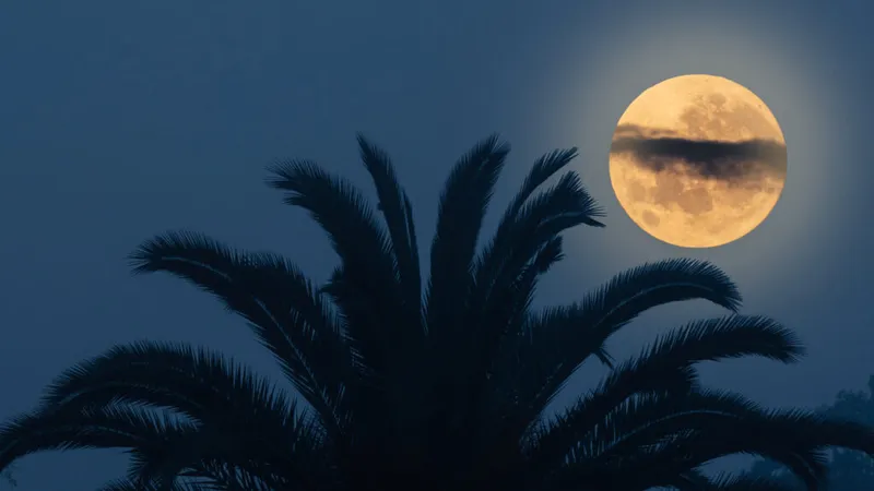 A view of the Super Blue Moon captured in the morning of 31 August 2023 by Taranjot Singh, Sydney, Australia. Equipment: Nikon D850 camera, Nikkor 200-500mm lens, tripod. Exposure: f/5.6, ISO 200, shutter 1/5