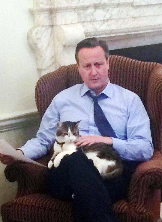 David Cameron with Larry