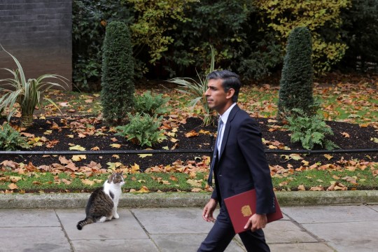 Former prime minister Rishi Sunak walks past Larry in 2022