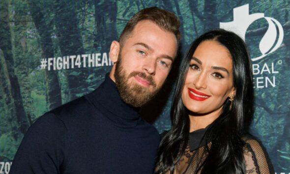 Artem Chigvintsev and Nikki Bella's Relationship Timeline