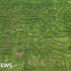 Maze designed to celebrate Katarina Johnson-Thompson