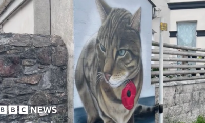 Mural painted in memory of Plymouth 'Morrisons cat'