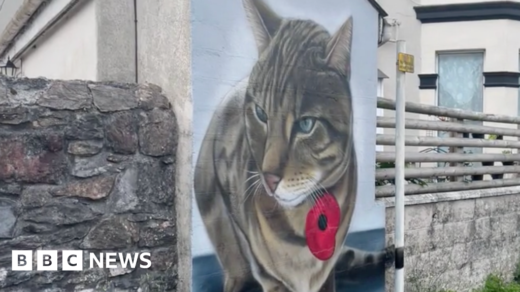 Mural painted in memory of Plymouth 'Morrisons cat'