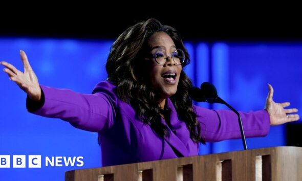 Oprah Winfrey makes surprise appearance at Democratic convention