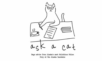 Ask a Cat: Tourists, societal problems, and black cats