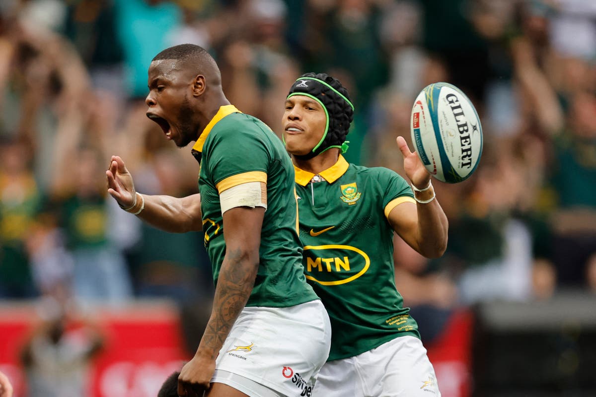 South Africa v Argentina LIVE: Result and reaction as Springboks thrash Pumas to seal Rugby Championship title in style