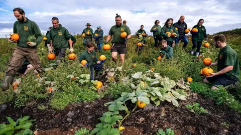 PA Media Staff at Noah's Ark Zoo farm are spread across a pumpkin patch at the zoo as they harvest pumpkins. They are wearing the attraction's dark green uniform with logo on it, and many of them are smiling. It is a clear day with some white cloud in the skies above