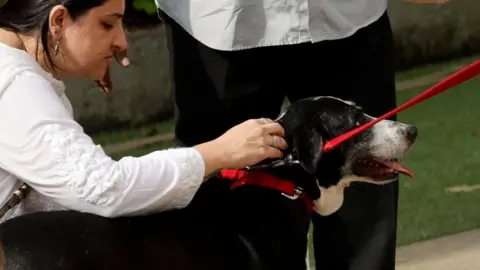 Reuters A woman plays with Ratan Tata's dog, Goa, as people attend the final viewing of the former chairman of Tata Group Ratan Tata, in Mumbai, India, October 10, 2024. 