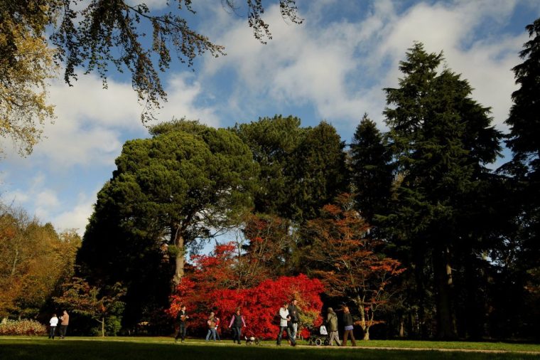 WESTONBIRT, ENGLAND - OCTOBER 26: Visitors walk through Westonbirt Arboretum in the Cotswolds near Tetbury on October 26, 2011 in Westonbirt, England. The National Arboretum experiences one of its busiest times during the Autumn months as visitors flock to see the variety of colours displayed in the arboretum's tree collection. (Photo by Dan Istitene/Getty Images)