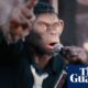 Better Man: see Robbie Williams as a CGI monkey in first trailer for biopic | Robbie Williams