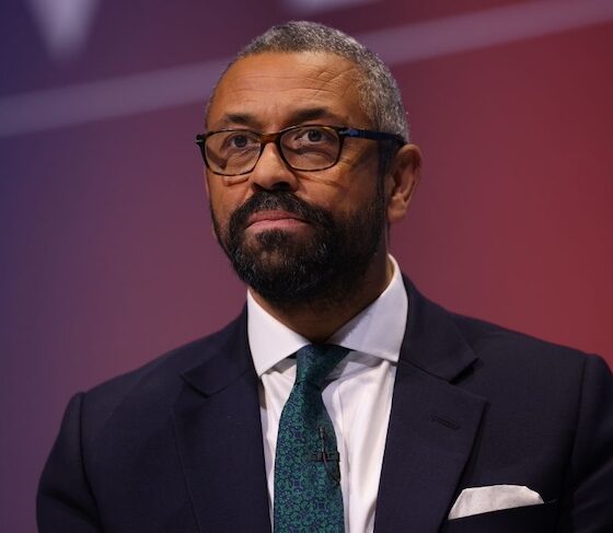 James Cleverly thinks the Tories need to be more ‘normal’