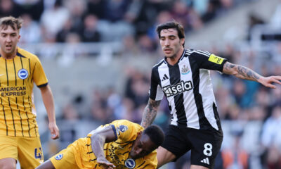 Newcastle United 0 Brighton & Hove Albion 1