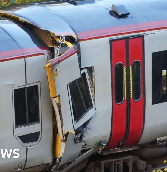 Passenger dies and 15 hurt as two trains crash