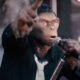 Robbie Williams Is a Singing Monkey in Teaser for 'Better Man' Biopic