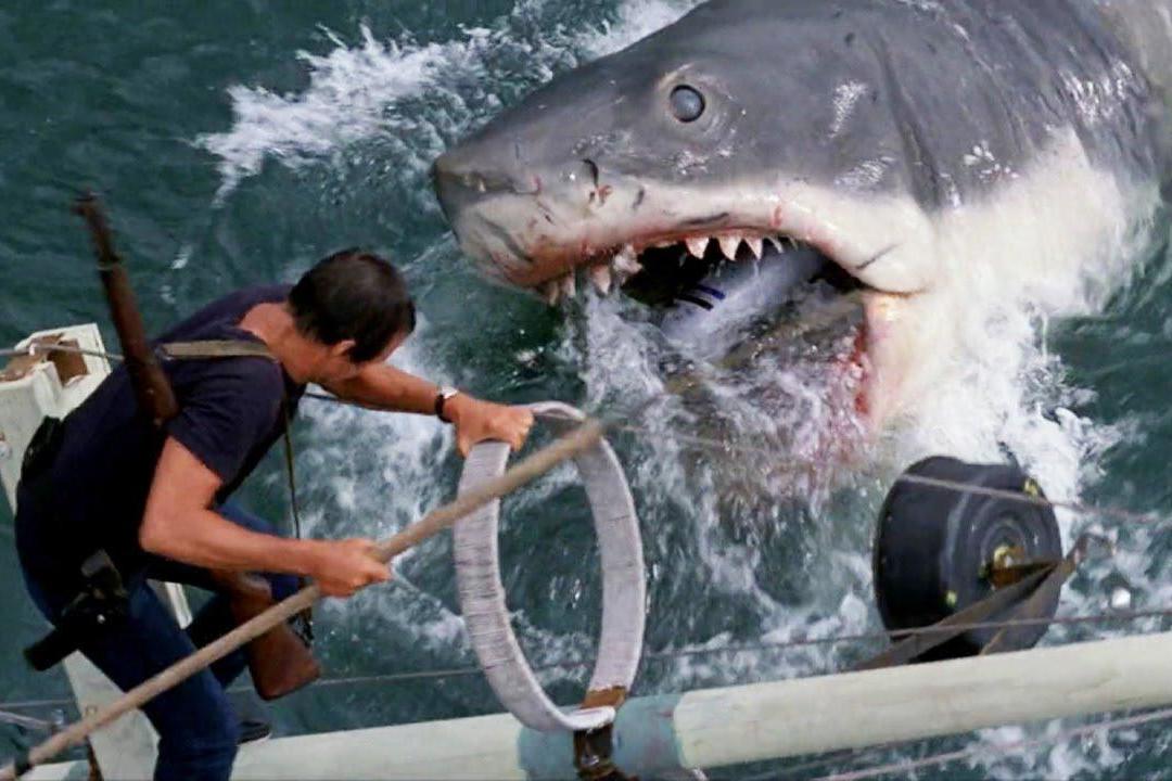 The shark in ‘Jaws’ is not even seen for the first 82 minutes