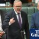 ‘Only dictatorships pretend to be perfect’: Albanese gives fiery defence of democracy after US election | Anthony Albanese