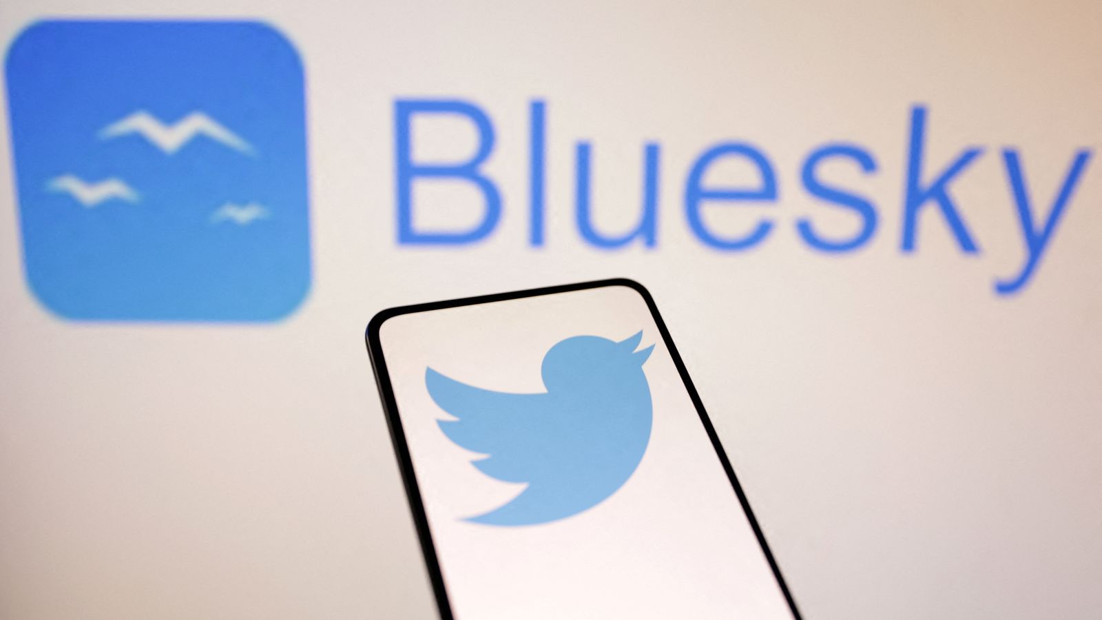 Bluesky gets surge in users switching from X after US election | Science, Climate & Tech News