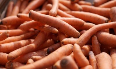 Contaminated carrots recalled after E coli outbreak leaves one dead and dozens fall sick